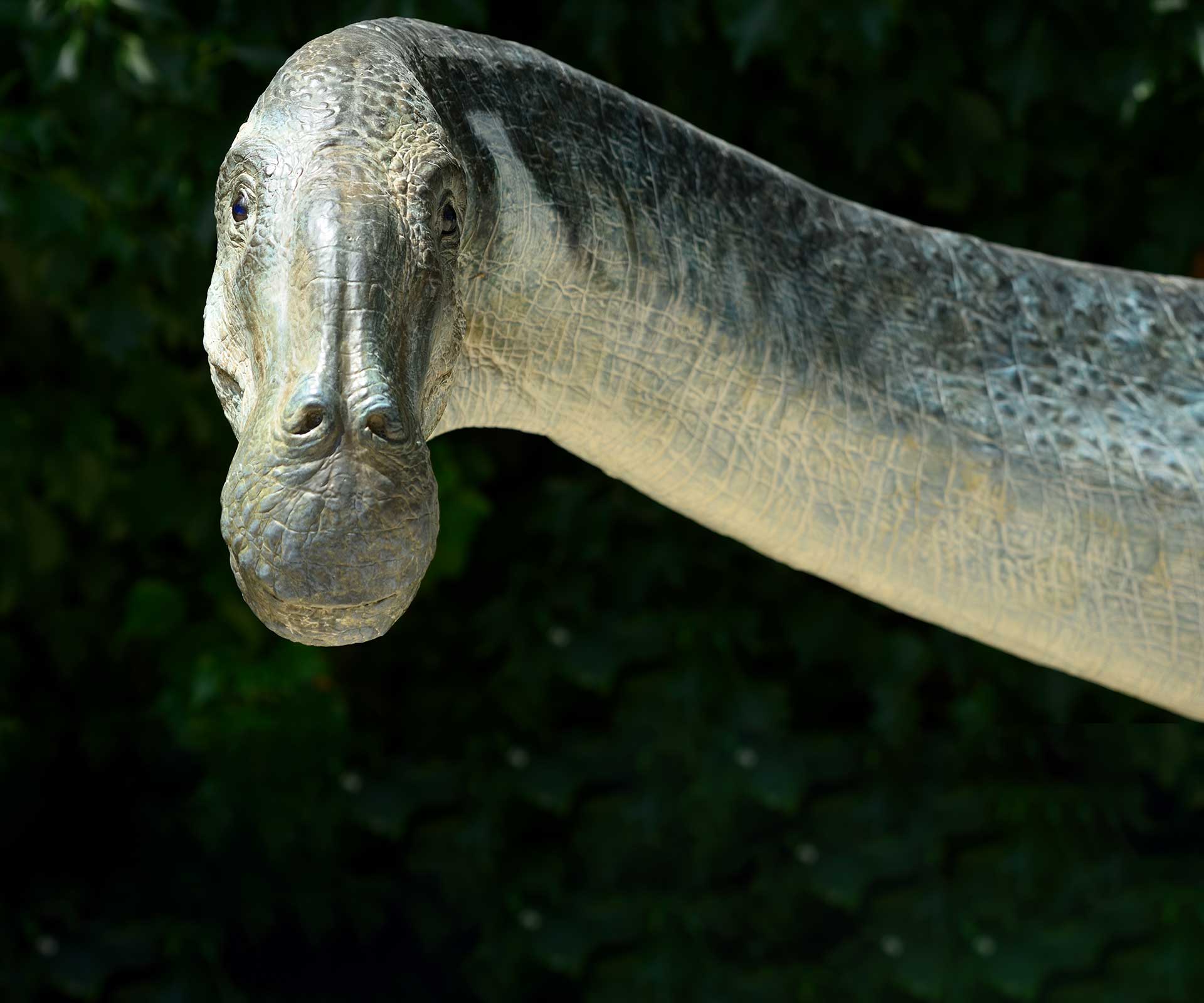 The Mokele-Mbembe: Could a Dinosaur-Like Creature Still Roam the Congo?