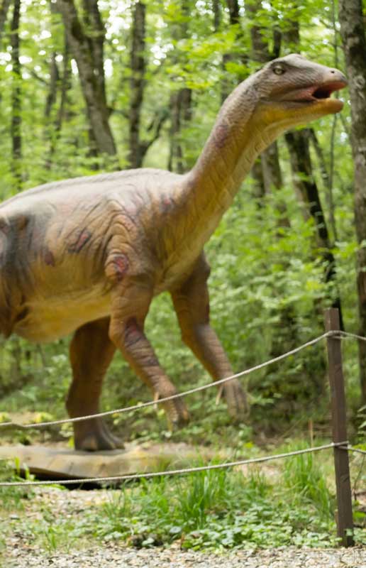 dinosaur wildlife congo creature supernatural chronicles